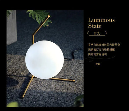 Nordic Creative Ins Style Internet Celebrity Douyin Decorative Lamp Reading Desk Study Modern and Simple Bedroom Bedside Lamp