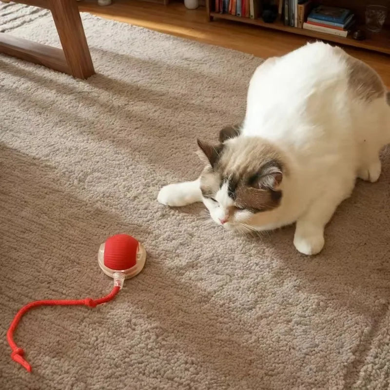 Interactive Cat Toy with 3 Modes New Cat Interactive Ball Toy  Auto on/Off Motion Activated Fun Hide & Seek Game for Cats Dogs