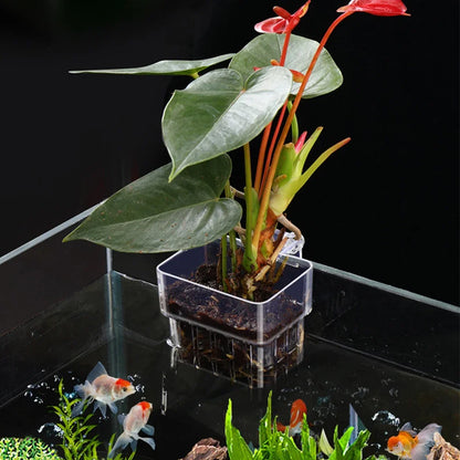 Fish  Aquarium Water Grass Cup Multiple Plant Hydroponics Hydroponic Planting Basket For Fish Tank Landscape Home Garden