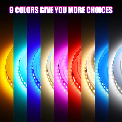 5m 10m 20m 50m LED Strip Light AC 220V 230V 240V IP55 2835 120 LEDs Flexible Ribbon Rope Lights Tape 9 Colors Home Decoration