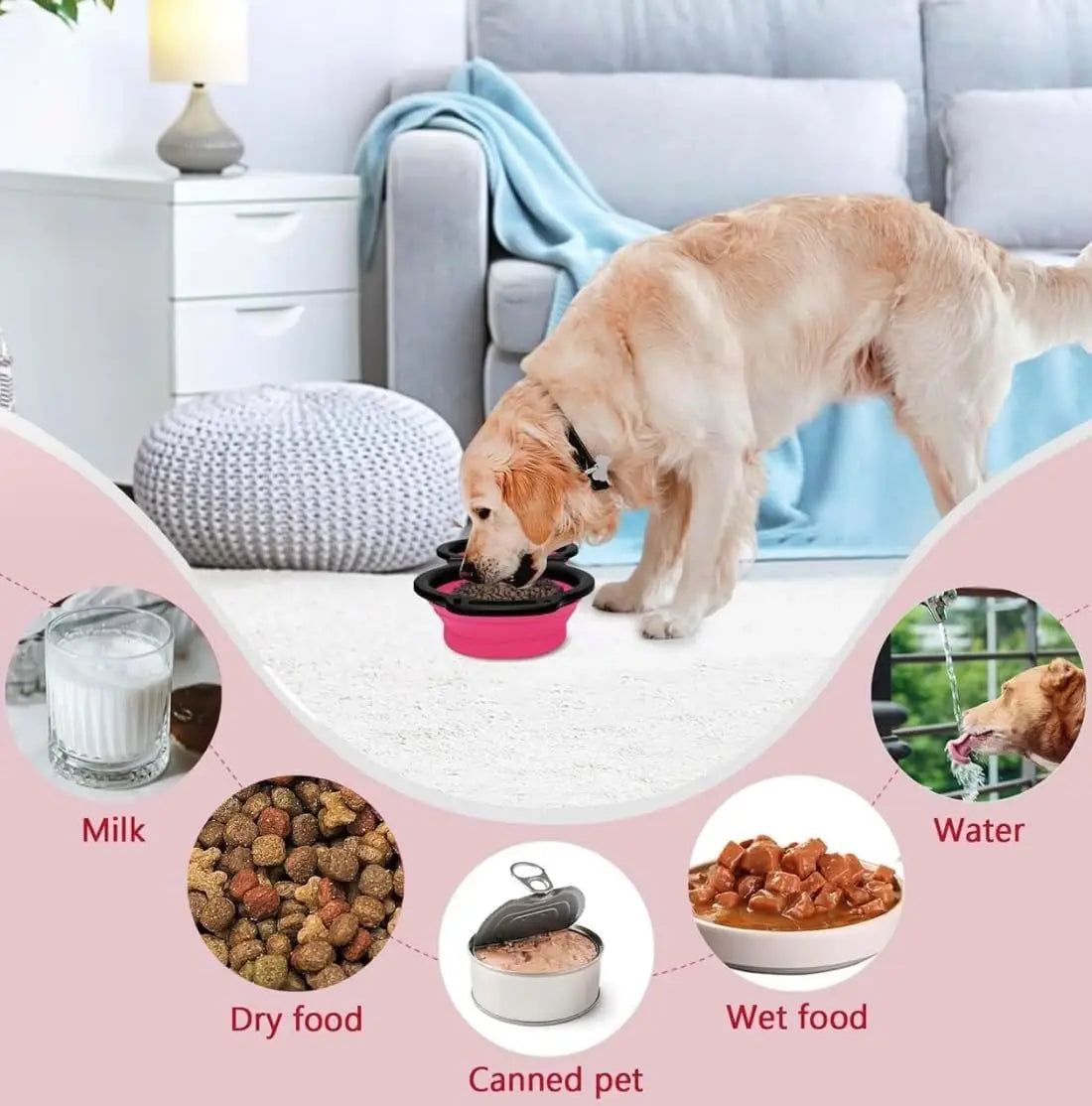 2 in 1 Dog Bowl Portable Folding Pet Double Bowl Collapsible Silicone Water Bowls for Dog Outdoor Travel Cat Dog Feeding Bowl