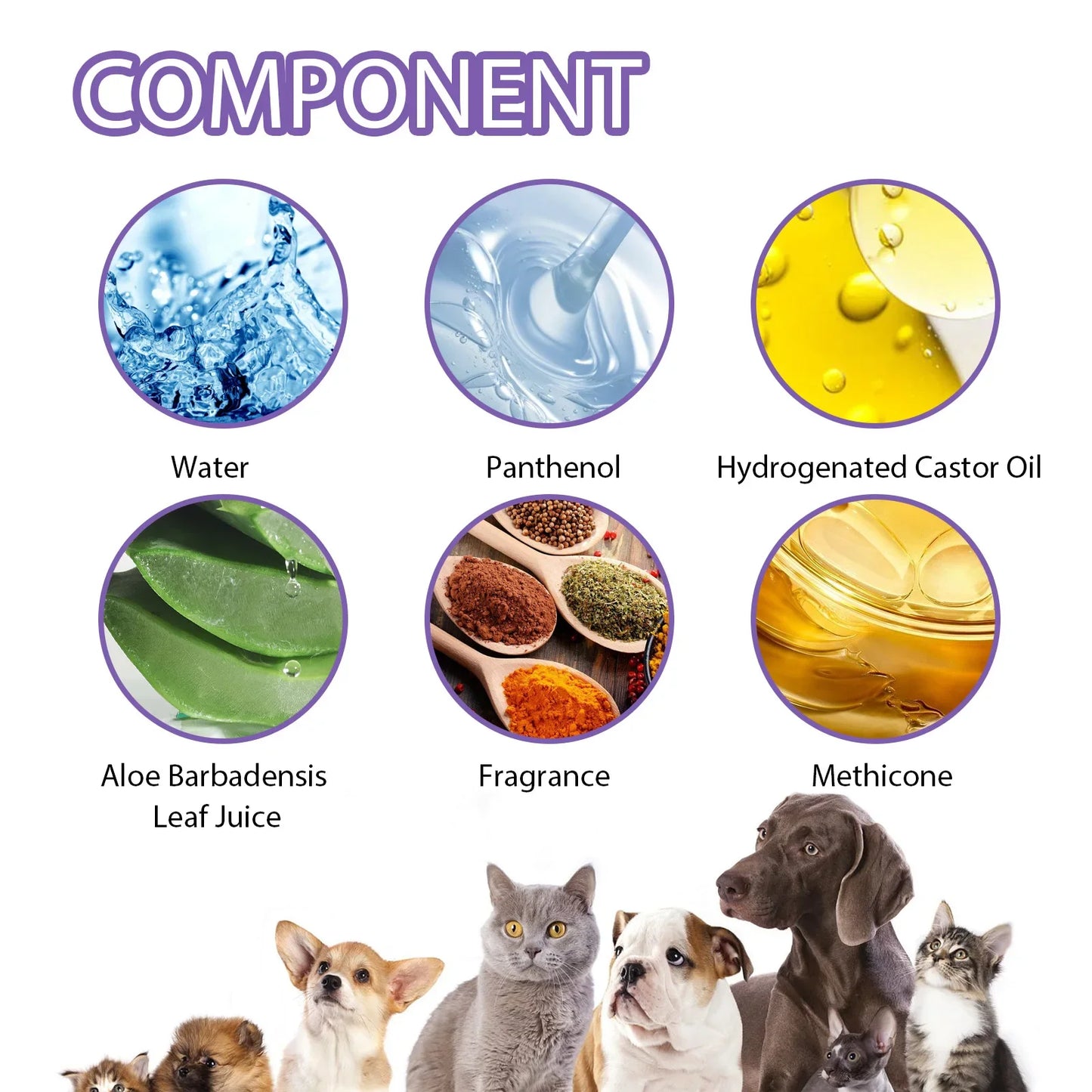 Pet Deodorization Spray 50ml Dog Perfume Lavender Oil Deodorization Spray Anti Itching Fragrant Pet  Cat and Dog Beauty Care