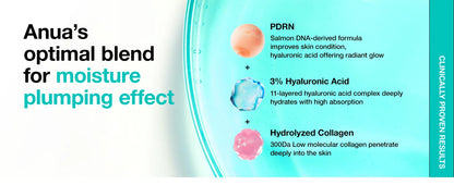 ANUA PDRN Hyaluronic Acid Capsules 100 Serum, Radiation Facial Serum, Hyaluronic Acid, Korean Skin Care Products, 30ml
