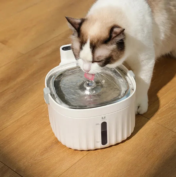 Cat Water Fountain Auto Filter USB Electric Mute Drinker Bowl 2L Recirculate Filtring Drinker for Cats Dog Pet Water Dispenser