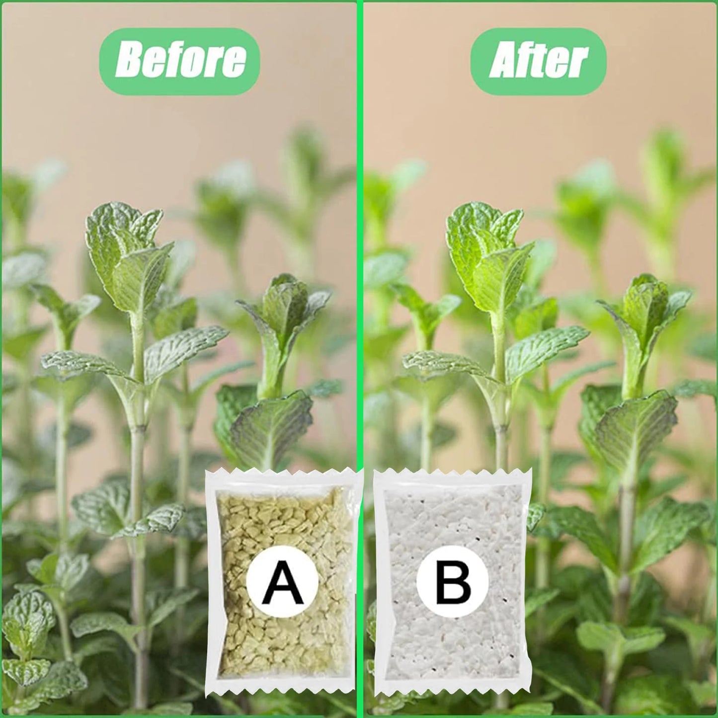 Garden Fertilizer A+B Hydroponic Plant Concentrated Easy to Use Promote Absorption Efficiency for Vegetables Flowers Grass