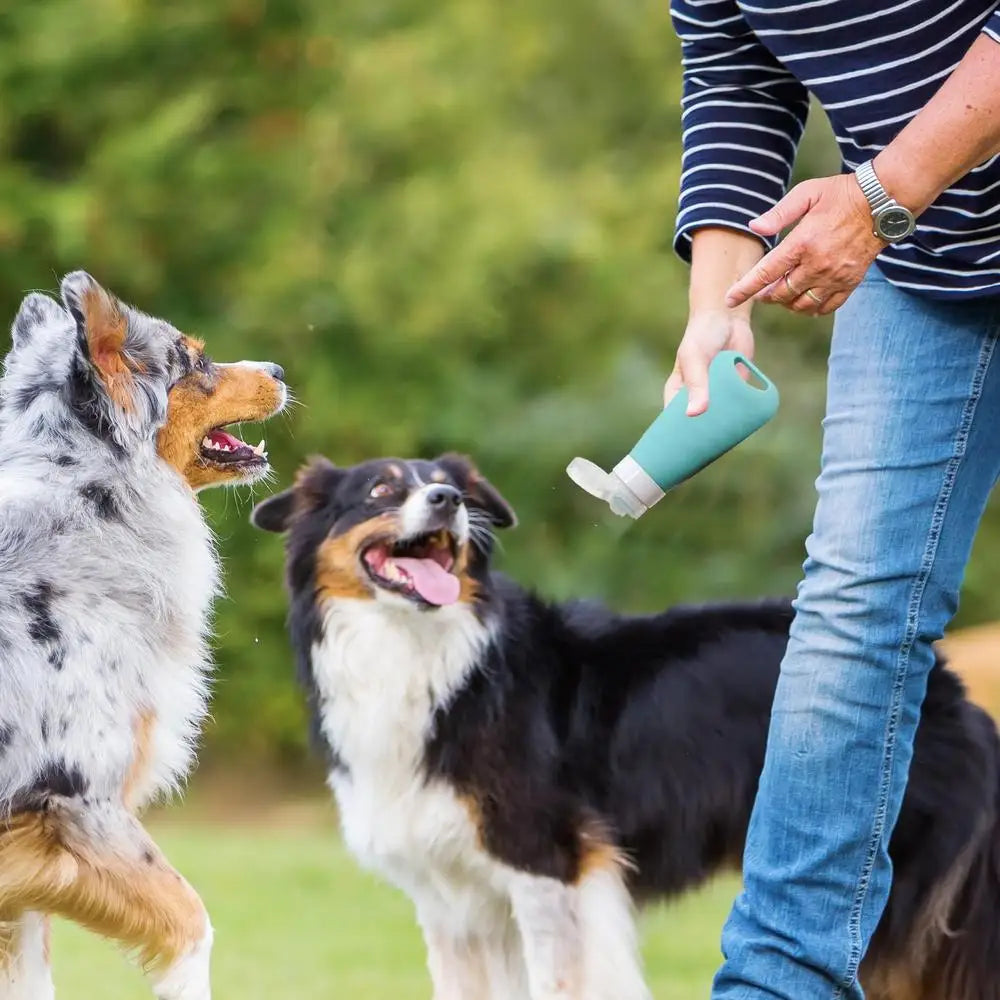 Travel Shampoo Bottles Silicone Dog Food Container 90ml Puppy Necessities Pet Accessories for Body Wash Lotions Cream