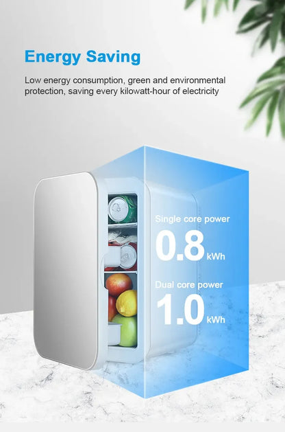 6L Mini Car Refrigerator 12V DC 220V AC Electric Portable Beauty Cooler Warmer Car Mini Fridge Ice Box for Home Camping Travel