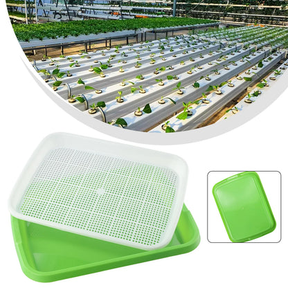 Microgreens Sprouter Tray Hydroponic / Sprouting Tray For Sprouts Vegetable Horticultural Garden DIY Nursery Potted