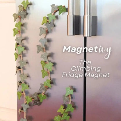 Funny Fridge Magnets English Ivy Fridge Magnet for Fake Ivy Grocery List Home Decor MagnetIvy 3D Printed Magnets for Fridge