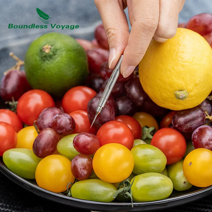 Boundless Voyage Portable Titanium Toothpicks Holder Ear Wax Removal Personal Care Tools Outdoor Multifunctional Tools Ti9008O