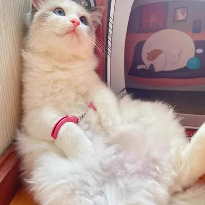 Interesting Toys Handcuffs Cute Interactive Cat Toys Playing with Cats Pet Supplies Cat Supplies