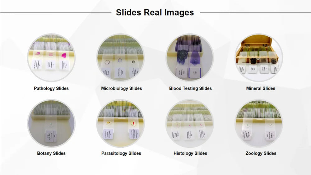 50 Pieces Set School Supplies Microscope Mixed Histology Prepared Slides for Educational Student