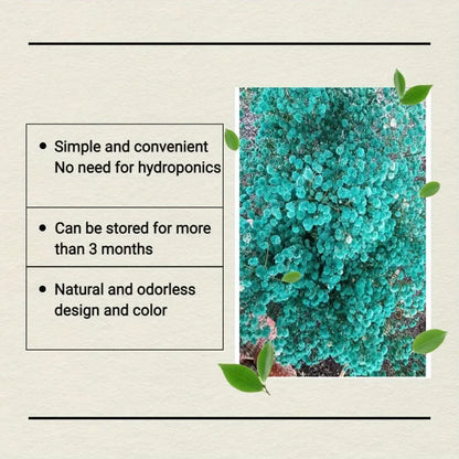 130g Natural Dried Preserved Flowers Babys Breath Home Decoration Natrual Gypsophila Wedding Decor Artificial Flower Photo Props