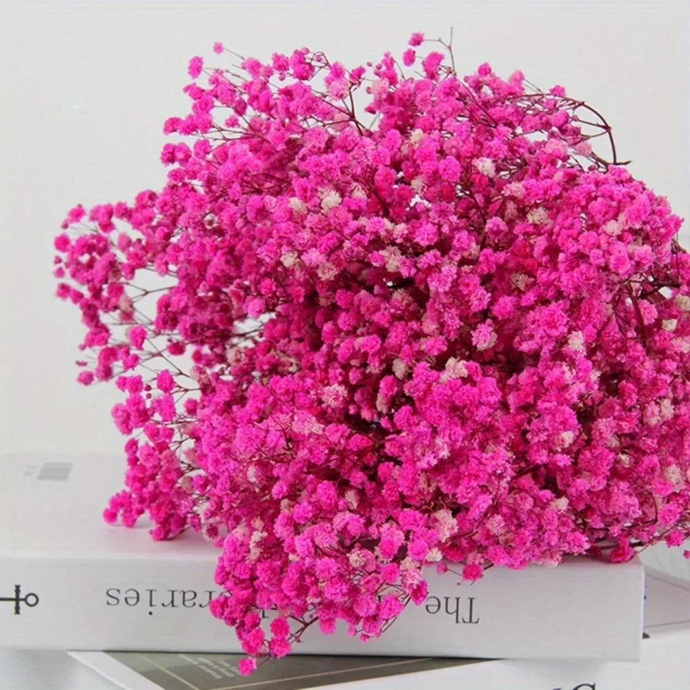 130g Natural Dried Preserved Flowers Babys Breath Home Decoration Natrual Gypsophila Wedding Decor Artificial Flower Photo Props
