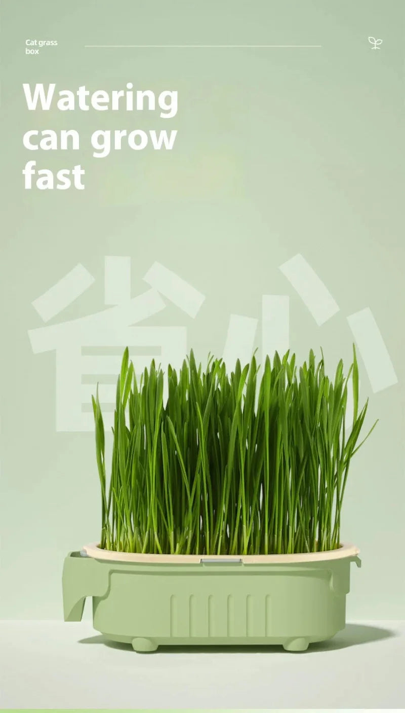 Hydroponic Natural Cat Grass Growing Kit-Organic Wheat Grass Seeds For Digestive Health & Hairball Control,With Potting Soil Set
