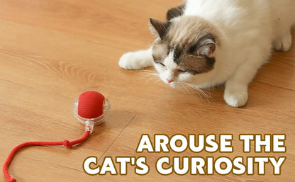 Interactive Cat Toys for Indoor Cats Rechargeable 360° Automatic Moving Cat Toy for Bored Indoor Adult Cats Motion Kitten Toys