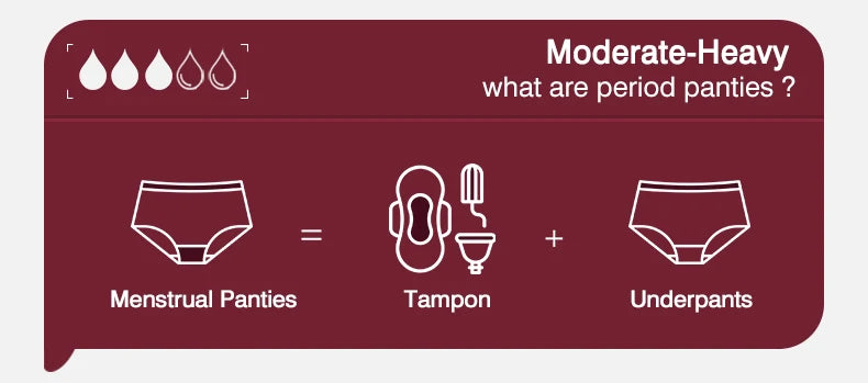 Menstrual Panties Women Leak proof Menstrual Period Underwear Ice Silk Menstruation Panties Menstrual Cycle Absorbent Underwear