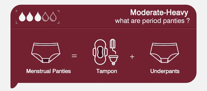 Menstrual Panties Women Leak proof Menstrual Period Underwear Ice Silk Menstruation Panties Menstrual Cycle Absorbent Underwear