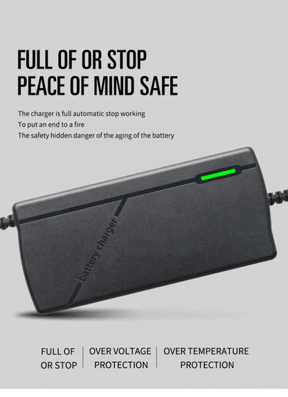 36V 48V 60V 72V Charger 2A 5A Lithium Battery Pack 42 54.6 67.2 84V 10 13 16 20S Smart Intelligent Fast Charging Charger EU Plug