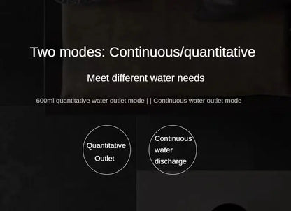 Household Electric Water Pump Barreled Water Automatic Water Absorbent Mineral Water VAT Water Pressure Water Device