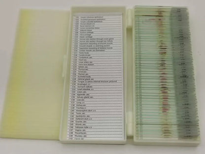 50 Pieces Set School Supplies Microscope Mixed Histology Prepared Slides for Educational Student