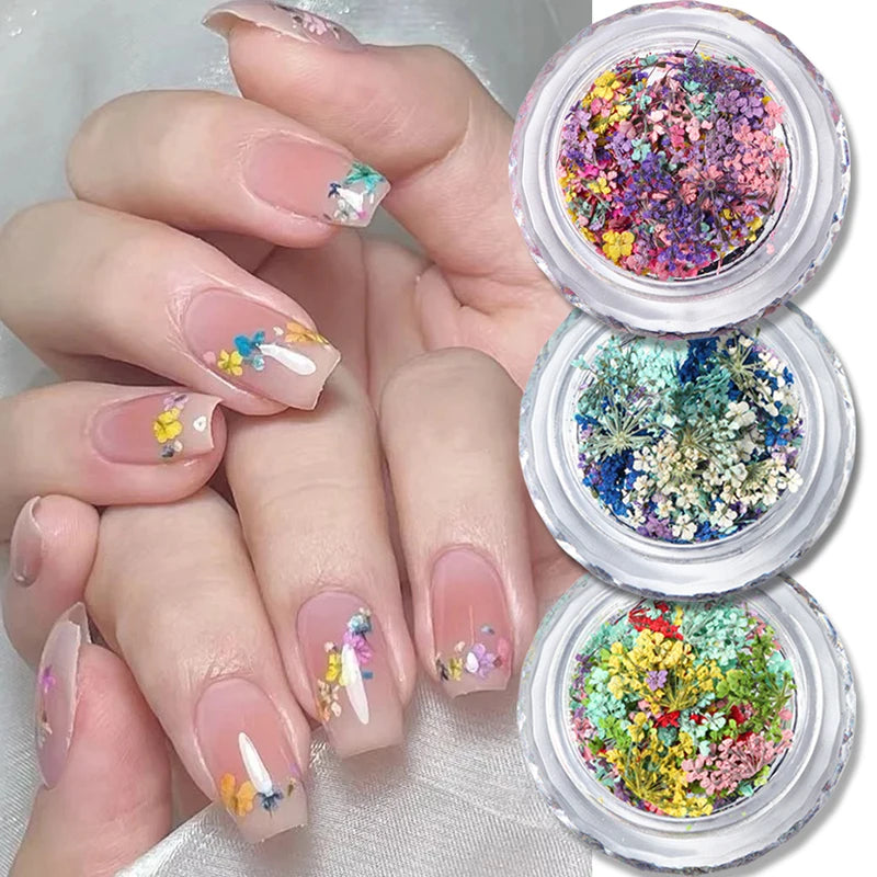 1 Box Nail Art Flower Decoration Delicate Dried Flower Nail Art Decorations Exquisite Nail Art Beauty For Charms Accessories