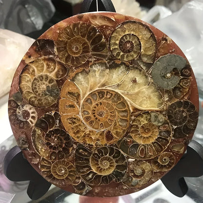 Ammonite discs, perfect home décor and aura healing, crystal crafts meditation photo props, home décor stones, holiday gifts