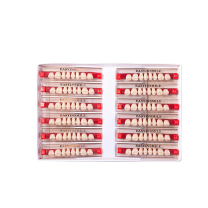 16/12 Sets/ Box Dental Teeth Anterior Posterior Polymer Denture acrylic Tooth A2 A3 2 Layers Dentistry Materials Education Model