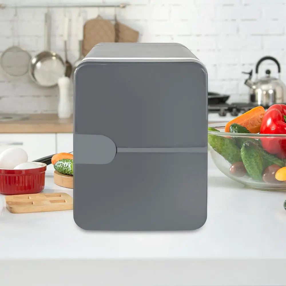 Portable Car Refrigerator 6L Thermal and Cool Fridge 12V DC 220V AC Camping Refrigerator Car Cooler Warmer for Driving Travel