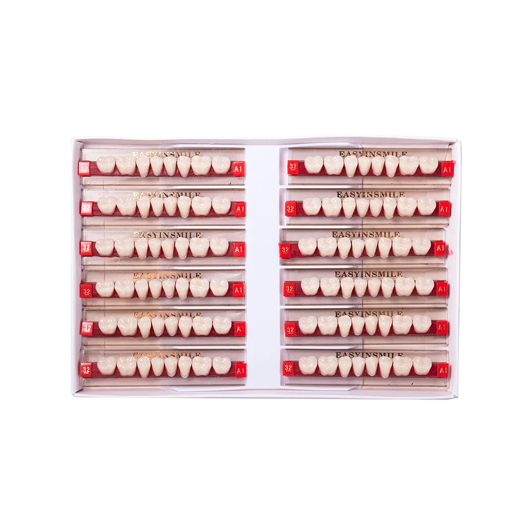 16/12 Sets/ Box Dental Teeth Anterior Posterior Polymer Denture acrylic Tooth A2 A3 2 Layers Dentistry Materials Education Model