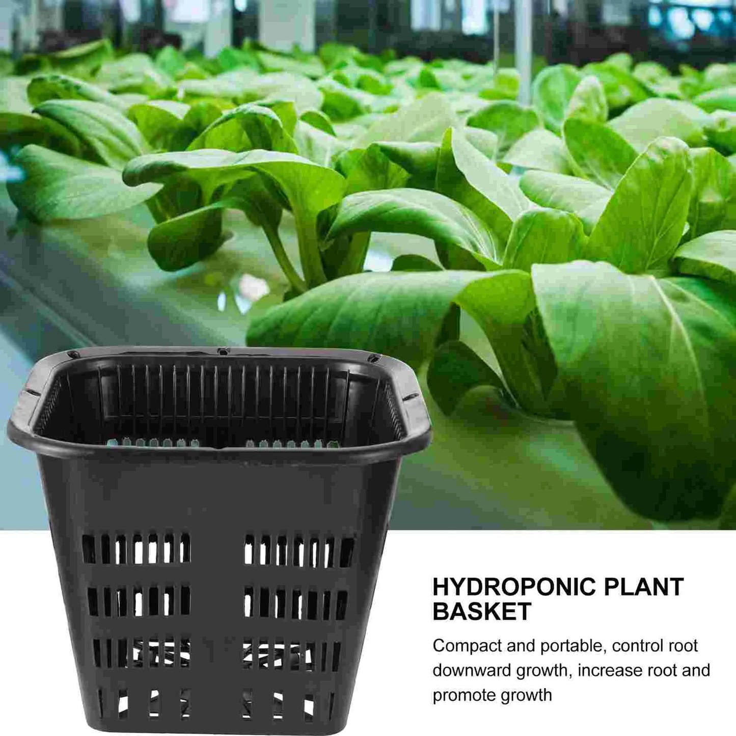 12 Pcs Hydroponic Basin Plant Grow Basket Container Garden Mesh Net Pot Plastic Root Fixing Holder Baskets Hydroponics