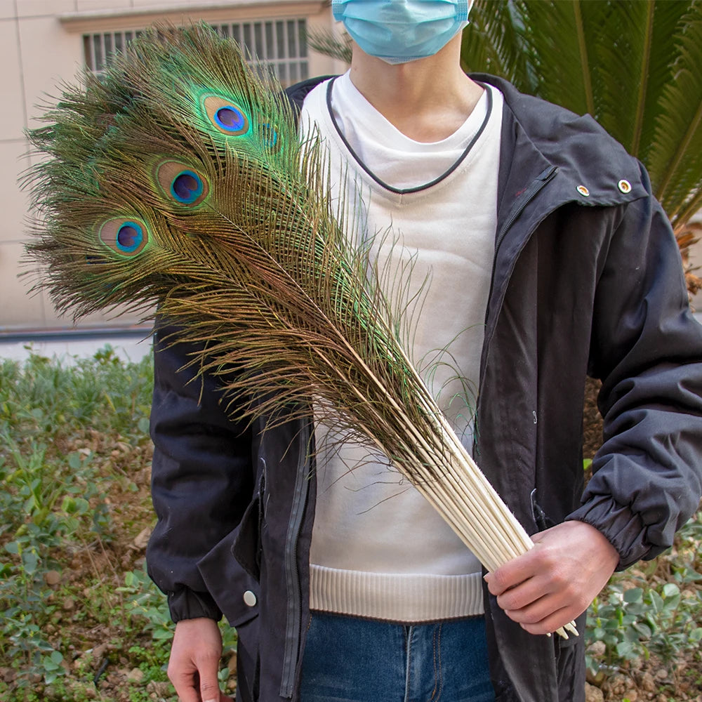 Natural Peacock Feathers 25-70cm for Crafts, Wedding Decorations, Home Décor, Fashion Accessories, and Party Decorations