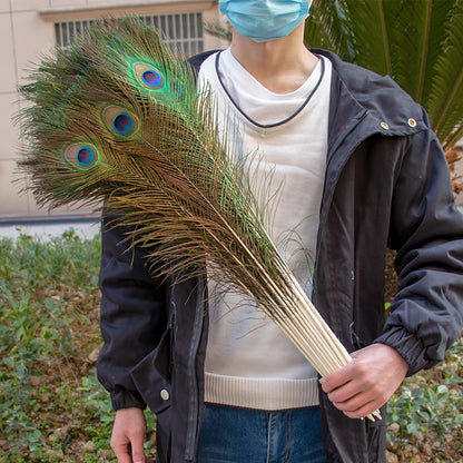 Natural Peacock Feathers 25-70cm for Crafts, Wedding Decorations, Home Décor, Fashion Accessories, and Party Decorations