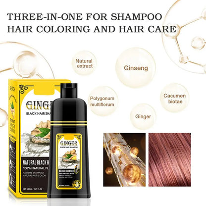 500ml Herbal Hair Dye Black Hair Shampoo Black Hair Color Shampoo Black Hair Dye Covering White Hair Shampoo ginger Shampoo