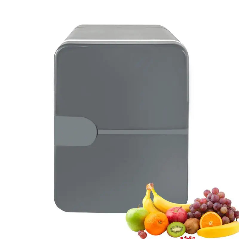 Portable Car Refrigerator 6L Thermal and Cool Fridge 12V DC 220V AC Camping Refrigerator Car Cooler Warmer for Driving Travel