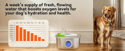 Apetdola 7L/236oz Dog Water Fountain Stainless Steel Dog Water Bowl Automatic Pet Drinker Water Dispenser for Multiple Pets