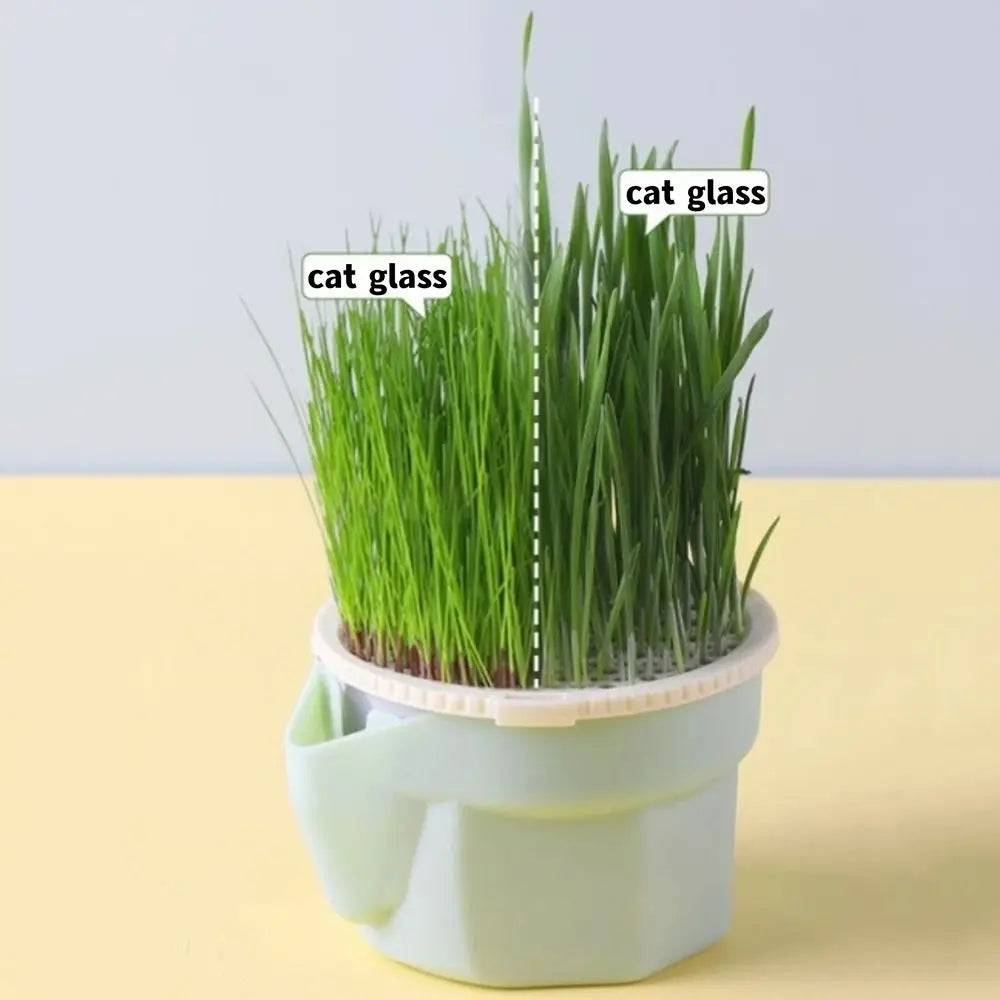 Hydroponic Cat Grass Box Planter Reusable Easy To Grow Microgreens Growing Kit Hierarchical Design Cat Grass Growing Pot