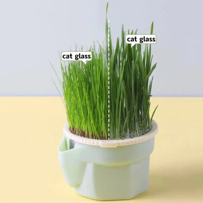 Hydroponic Cat Grass Box Planter Reusable Easy To Grow Microgreens Growing Kit Hierarchical Design Cat Grass Growing Pot