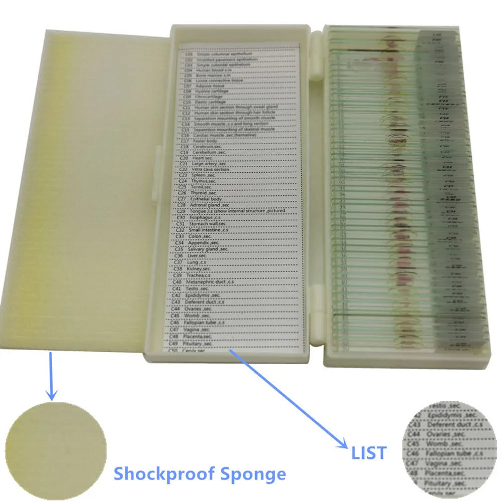50 Pieces Set School Supplies Microscope Mixed Histology Prepared Slides for Educational Student