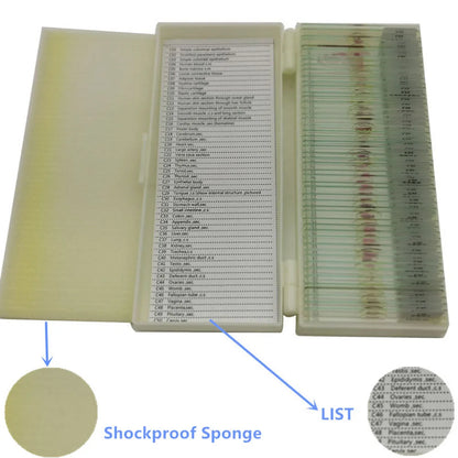 50 Pieces Set School Supplies Microscope Mixed Histology Prepared Slides for Educational Student
