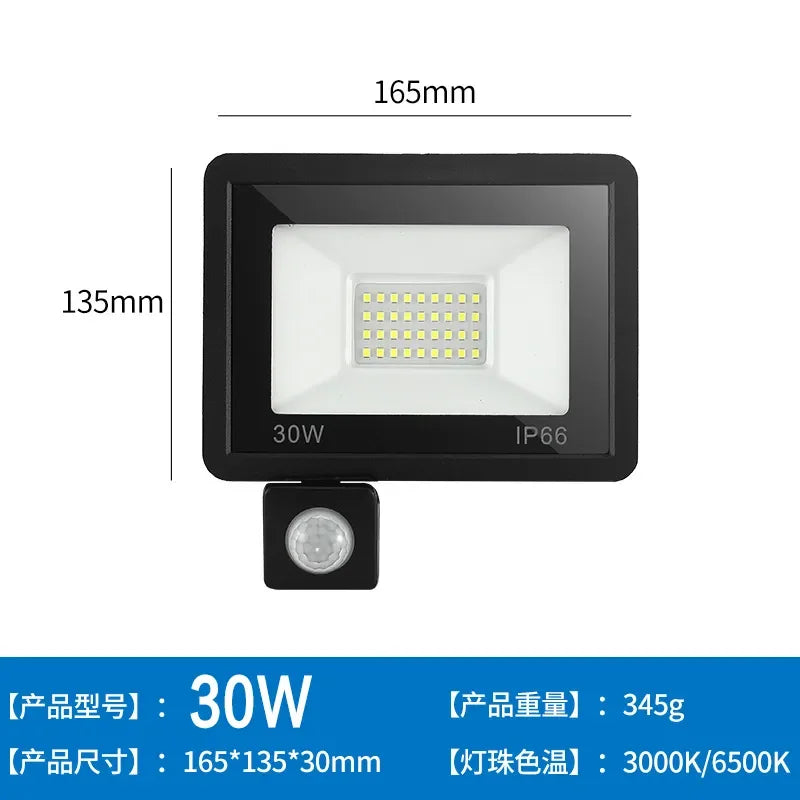 LED Floodlights 100W 50W 30W 20W 10W PIR Motion Sensor IP66 Waterproof LED 220V Hanging Exterior Outdoor Wall Lamp Spotlight