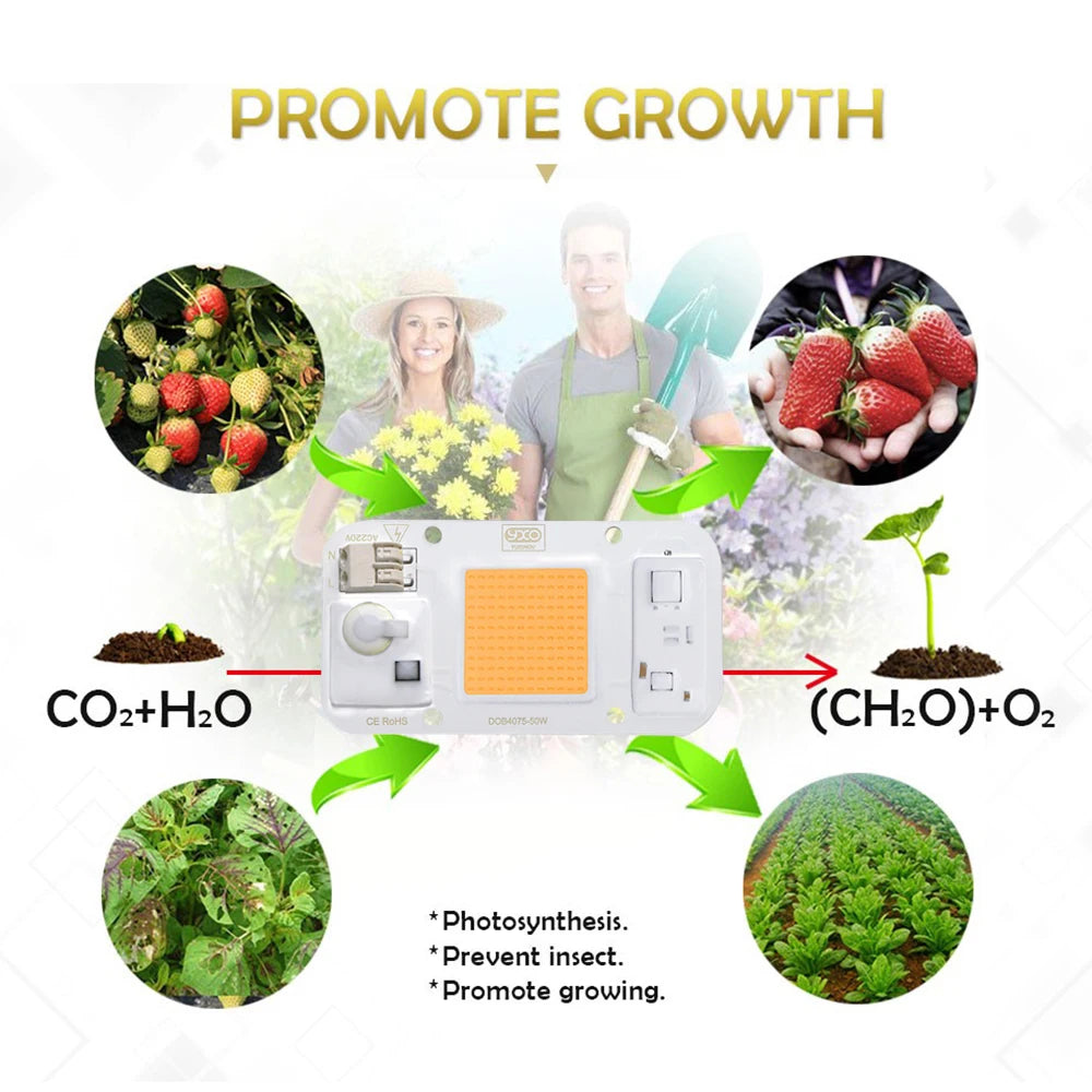 Smart IC LED COB Bulb Chip 20W 30W 50W 230V Input IP65 Waterproof for DIY Street Flood Light Projects Cold/Warm White Options