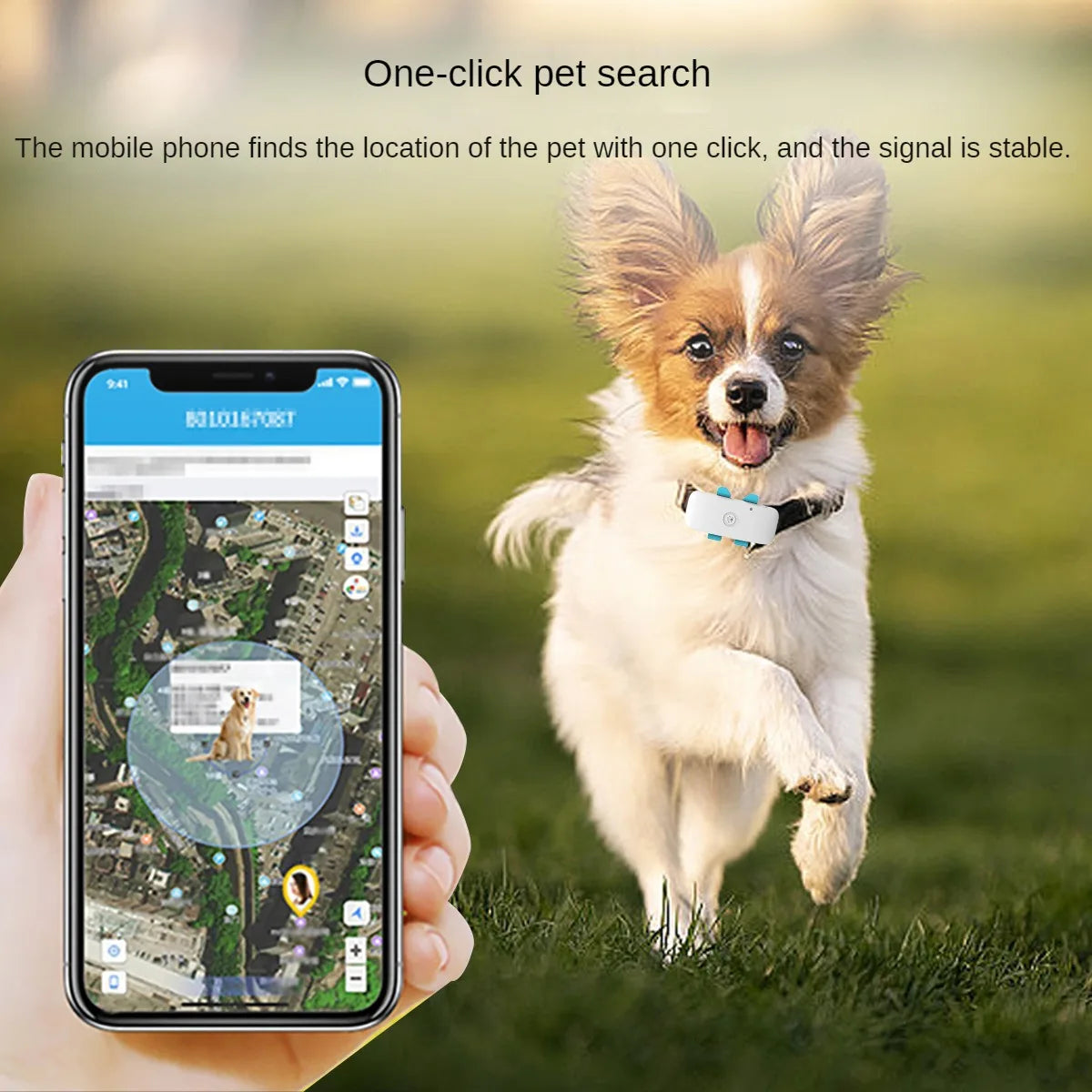 Pet GPS Tracking Locator, 4G, Global Cat and Dog, Remote Viewing App