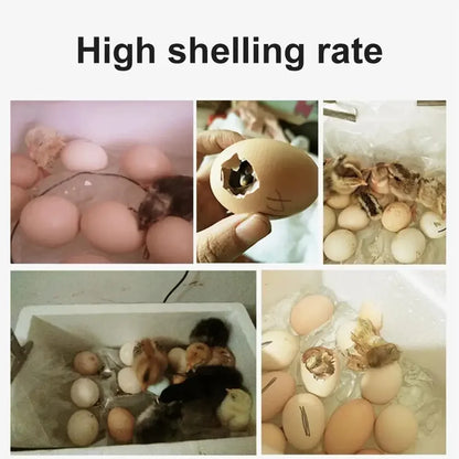 20 Eggs Incubator Turning Hatching Brooder Farm Bird Quail Chicken Poultry Farm Hatcher Turner Incubation Tool