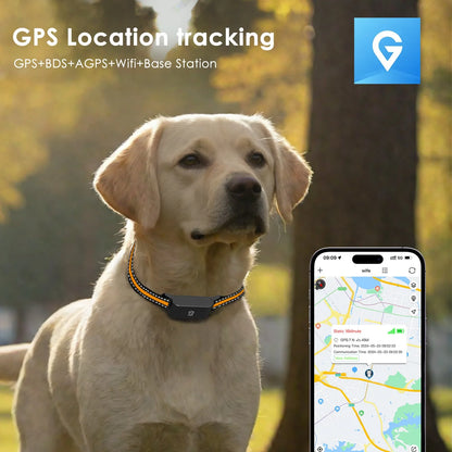4G GPS Pet dog Tracker Collar Real Time Tracking APP Electronic Fence Anti Lost Dog Locator