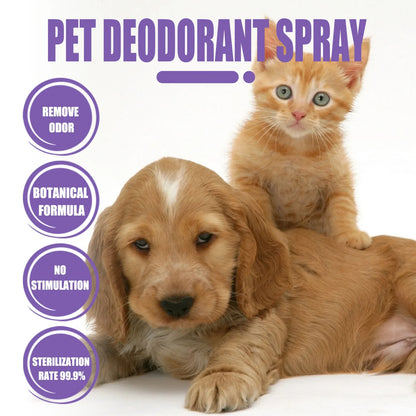 Pet Deodorization Spray 50ml Dog Perfume Lavender Oil Deodorization Spray Anti Itching Fragrant Pet  Cat and Dog Beauty Care