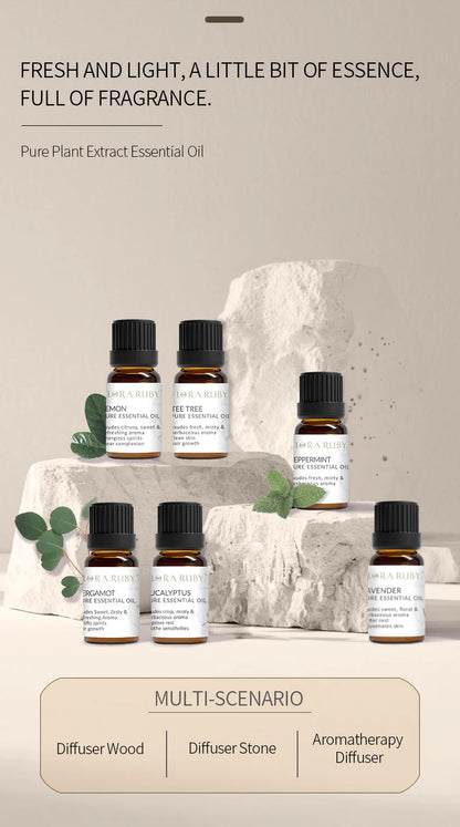 12 Essential Oils for Diffuser Essential Oil Aromatherapy Oils Home Care Essential Oils for Candle Making Oils Humidifier