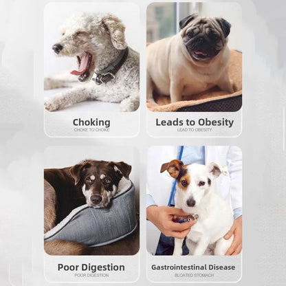 Multi-use Silicone Pet Slow Feeder Bowl Non-slip Choke-proof Pet Canning Lick Tray Portable Cat Food Bowl Food Container