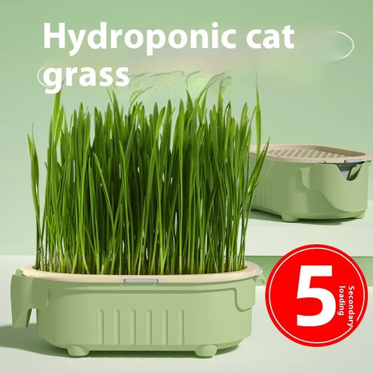 Hydroponic Natural Cat Grass Growing Kit-Organic Wheat Grass Seeds For Digestive Health & Hairball Control,With Potting Soil Set