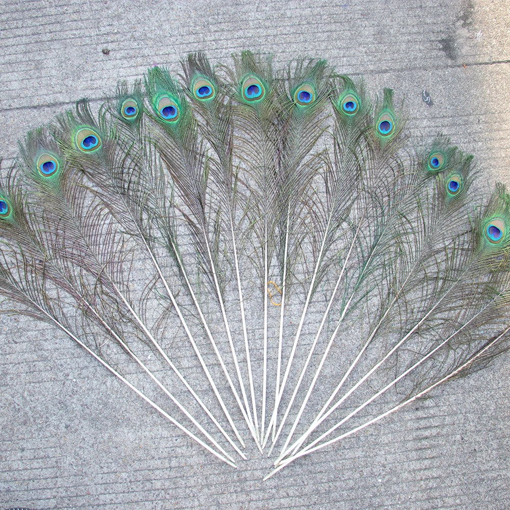 Natural Peacock Feathers 25-70cm for Crafts, Wedding Decorations, Home Décor, Fashion Accessories, and Party Decorations